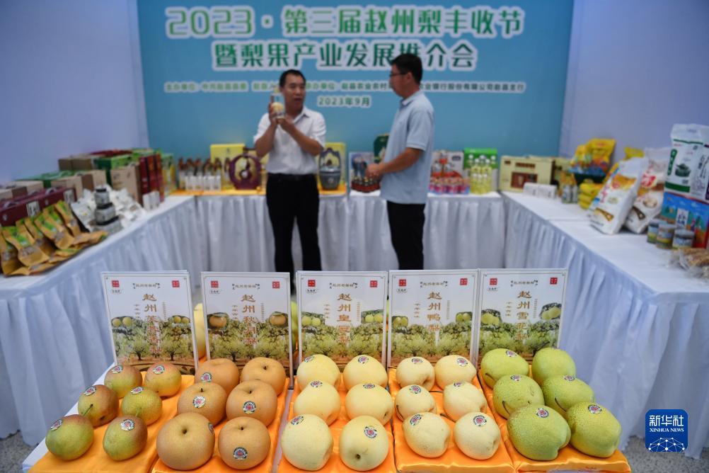 皇冠最新网站